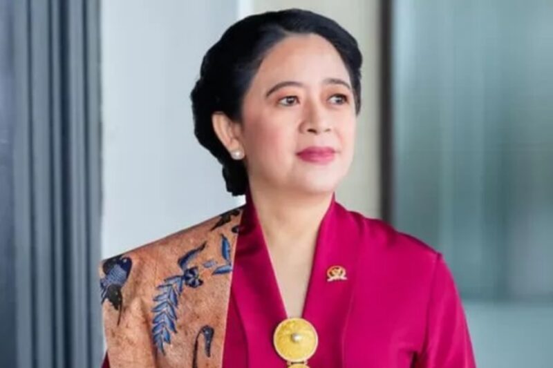 Ketua DPR RI Puan Maharani. (Instagram.com @puanmaharaniri)